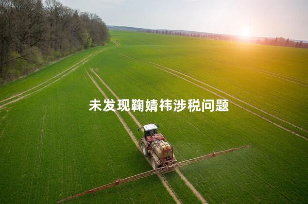 未发现鞠婧祎涉税问题