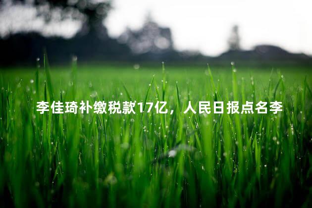 李佳琦补缴税款17亿，人民日报点名李佳琦