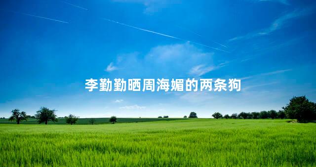 李勤勤晒周海媚的两条狗