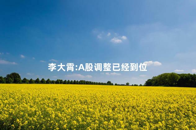 李大霄:A股调整已经到位