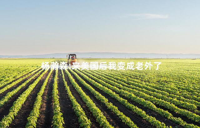 杨瀚森:来美国后我变成老外了