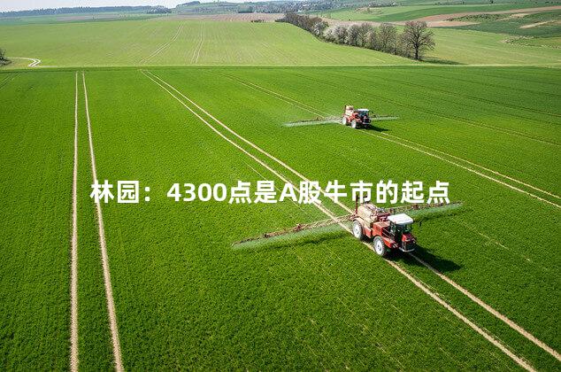 林园：4300点是A股牛市的起点