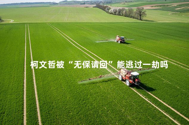 柯文哲被“无保请回”能逃过一劫吗