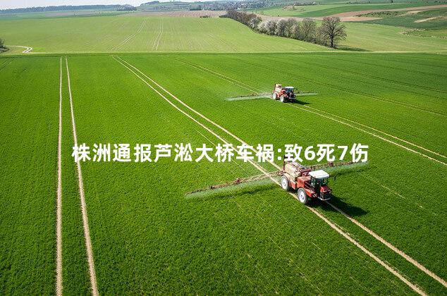 株洲通报芦淞大桥车祸:致6死7伤