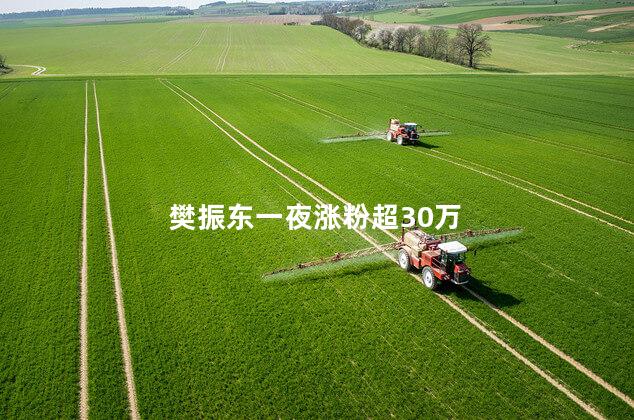 樊振东一夜涨粉超30万