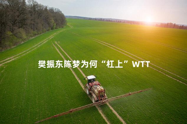 樊振东陈梦为何“杠上”WTT