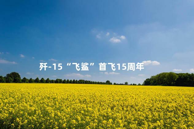 歼-15“飞鲨”首飞15周年
