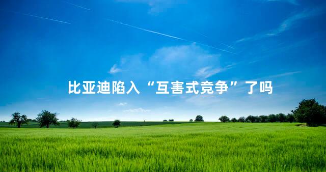 比亚迪陷入“互害式竞争”了吗