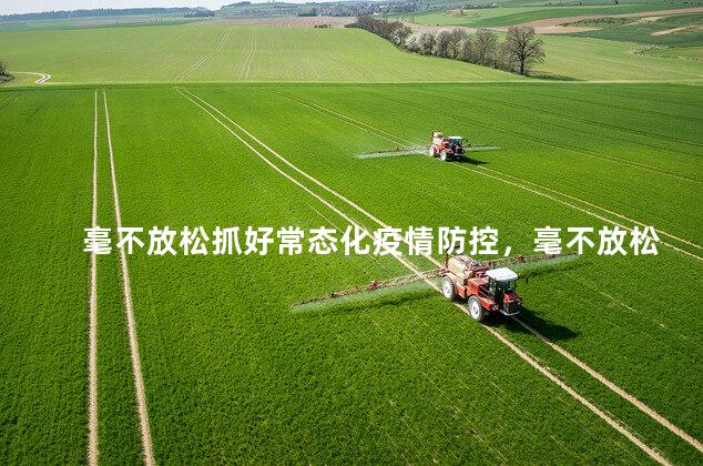 毫不放松抓好常态化疫情防控，毫不放松抓好常态化疫情防控坚决防止疫情反弹