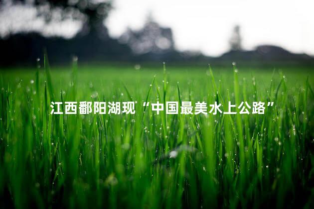 江西鄱阳湖现“中国最美水上公路”