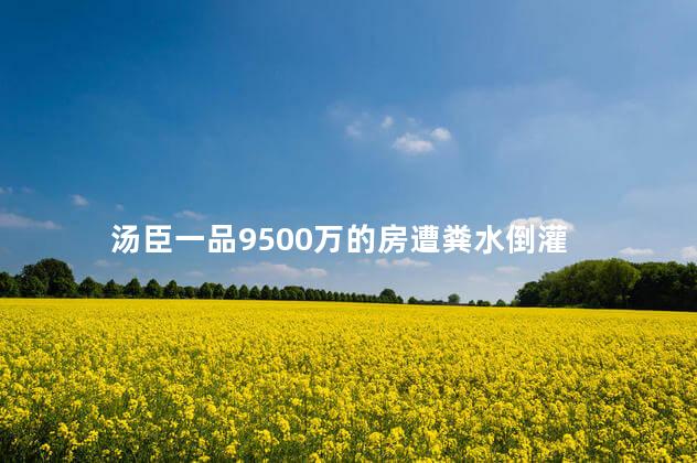 汤臣一品9500万的房遭粪水倒灌