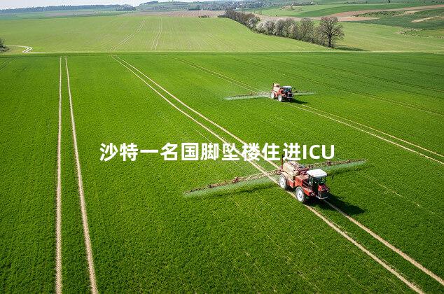 沙特一名国脚坠楼住进ICU