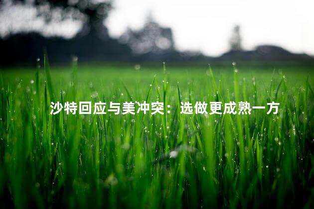 沙特回应与美冲突：选做更成熟一方