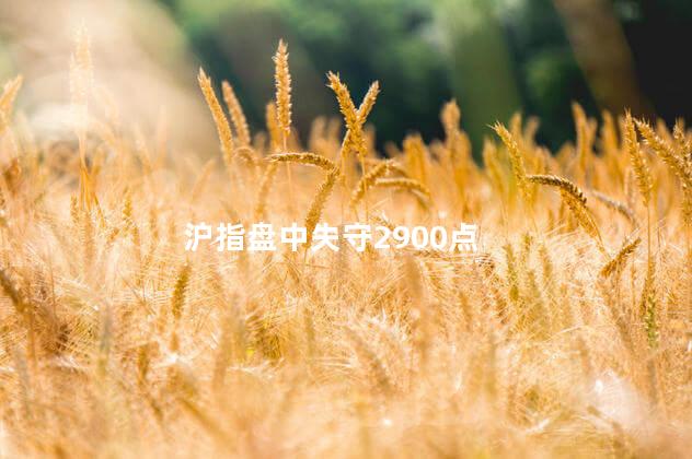 沪指盘中失守2900点