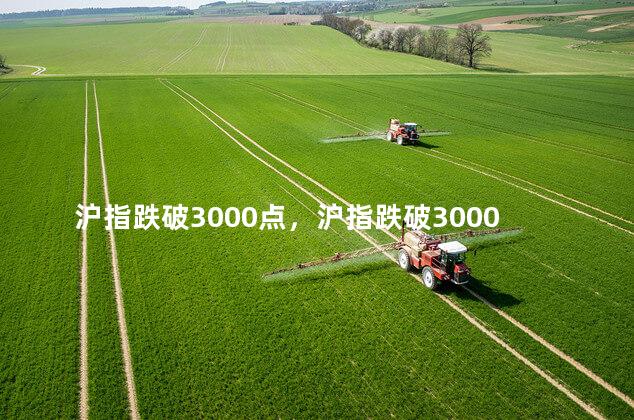 沪指跌破3000点，沪指跌破3000点关口