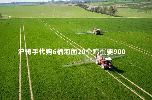 沪骑手代购6桶泡面20个鸡蛋要900，骑手代购怎么付钱