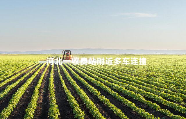 河北一收费站附近多车连撞