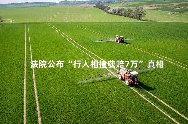 法院公布“行人相撞获赔7万”真相