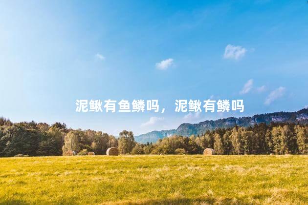 泥鳅有鱼鳞吗，泥鳅有鳞吗