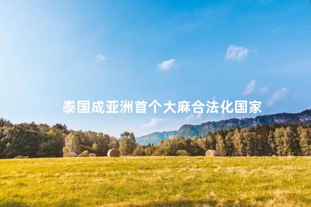泰国成亚洲首个大麻合法化国家