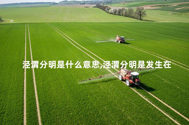 泾渭分明是什么意思,泾渭分明是发生在哪里的奇特景观