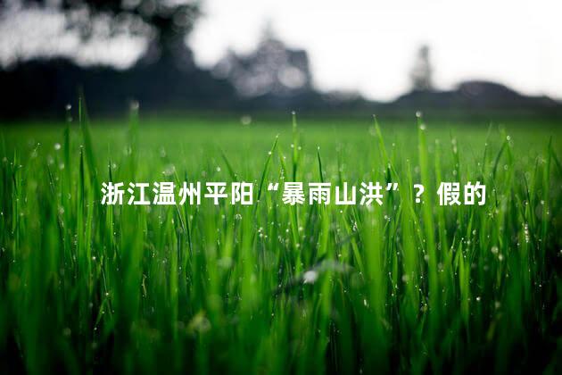 浙江温州平阳“暴雨山洪”？假的