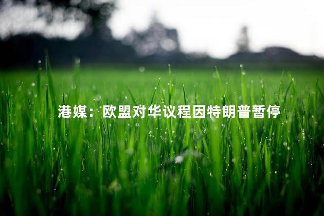 港媒：欧盟对华议程因特朗普暂停