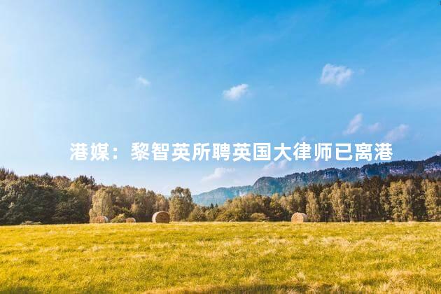 港媒：黎智英所聘英国大律师已离港