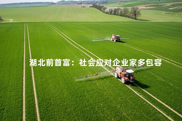 湖北前首富：社会应对企业家多包容