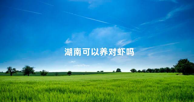 湖南可以养对虾吗