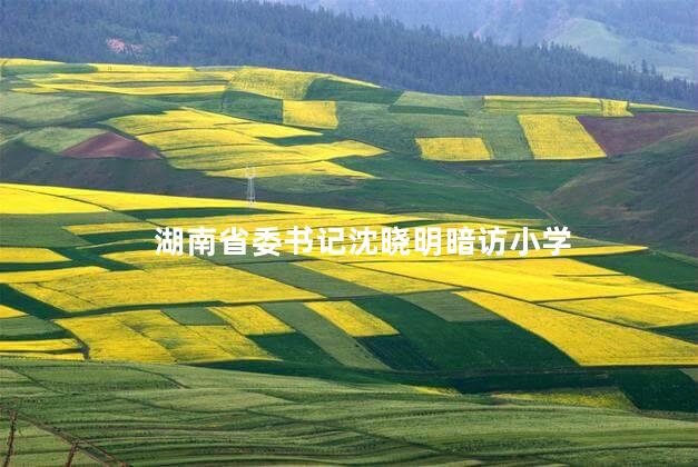 湖南省委书记沈晓明暗访小学