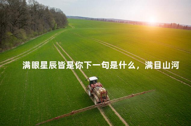 满眼星辰皆是你下一句是什么，满目山河不及你,浩瀚星河皆为尘