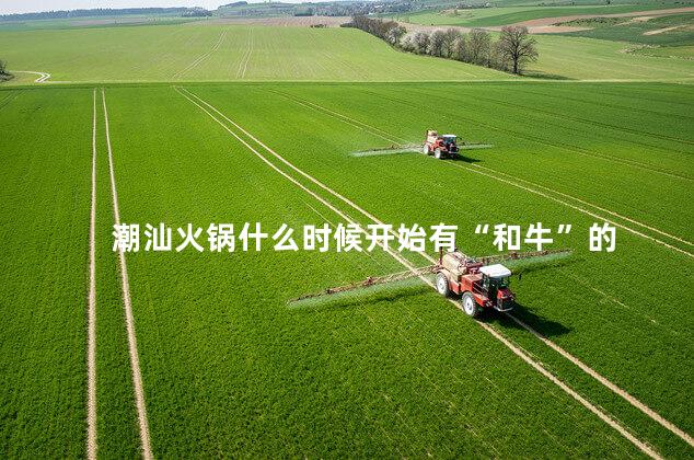 潮汕火锅什么时候开始有“和牛”的