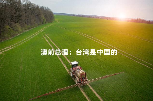 澳前总理：台湾是中国的