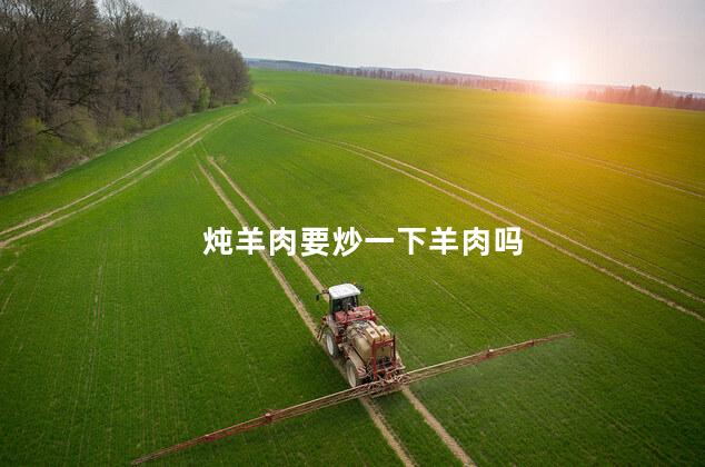 炖羊肉要炒一下羊肉吗