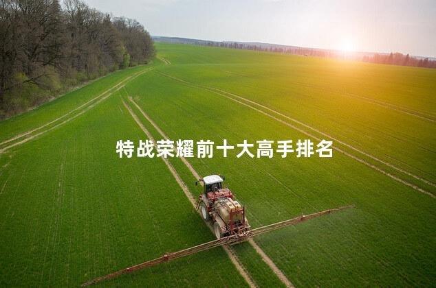 特战荣耀前十大高手排名