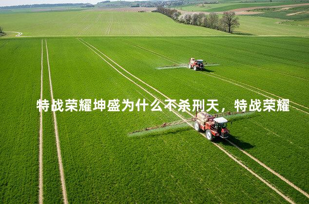 特战荣耀坤盛为什么不杀刑天，特战荣耀坤盛扮演者