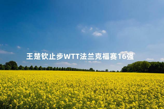 王楚钦止步WTT法兰克福赛16强