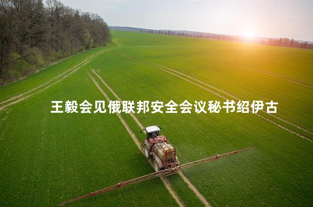 王毅会见俄联邦安全会议秘书绍伊古