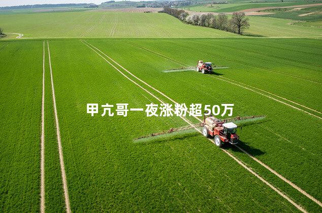 甲亢哥一夜涨粉超50万