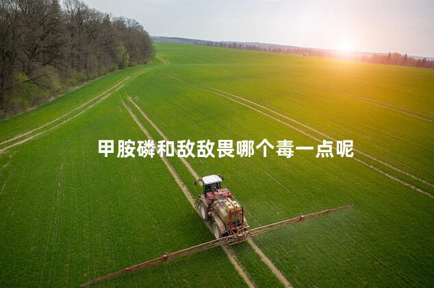 甲胺磷和敌敌畏哪个毒一点呢