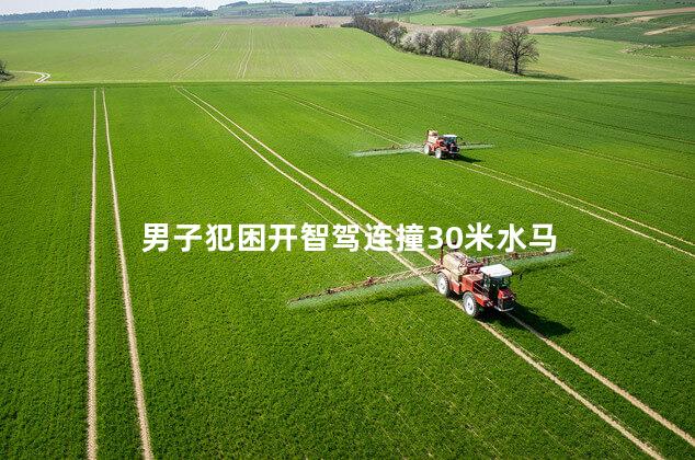 男子犯困开智驾连撞30米水马