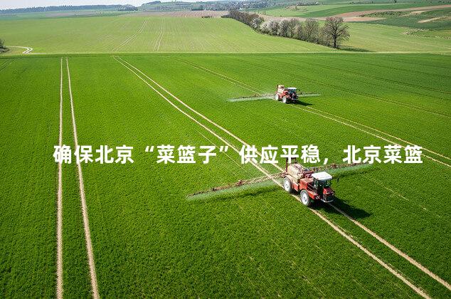 确保北京“菜篮子”供应平稳，北京菜篮子工程最新动态