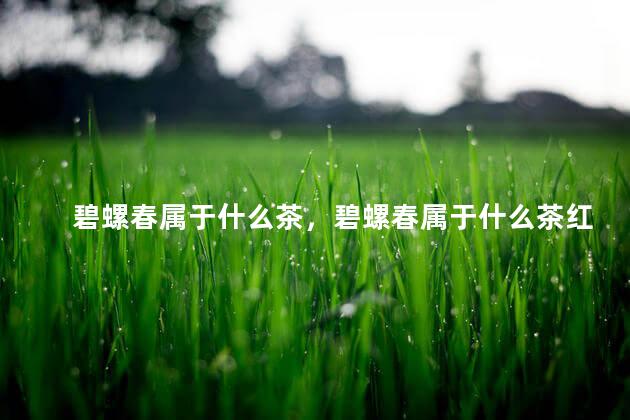 碧螺春属于什么茶，碧螺春属于什么茶红茶还是绿茶