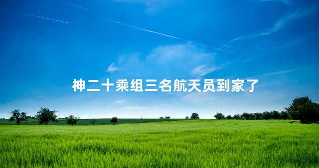 神二十乘组三名航天员到家了