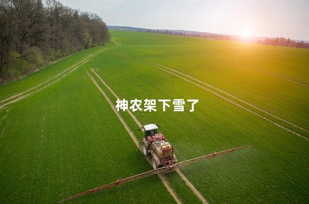神农架下雪了