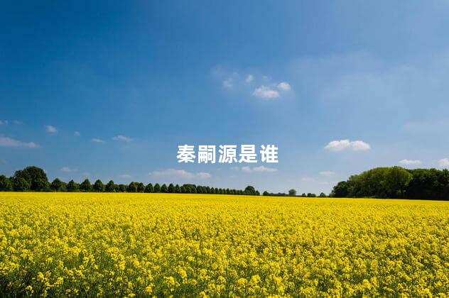 秦嗣源是谁