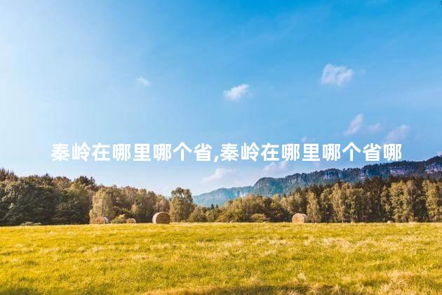 秦岭在哪里哪个省,秦岭在哪里哪个省哪个市县的