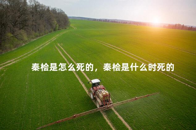 秦桧是怎么死的，秦桧是什么时死的