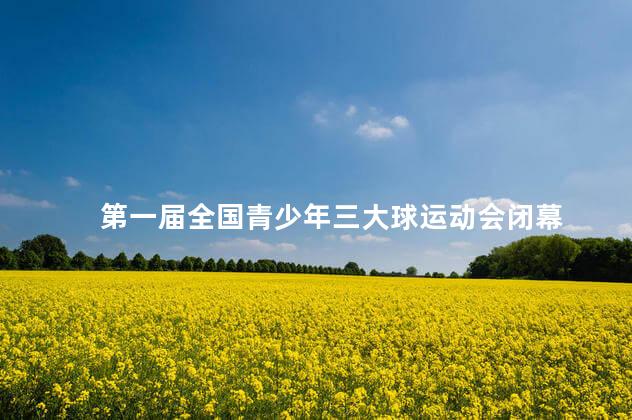 第一届全国青少年三大球运动会闭幕